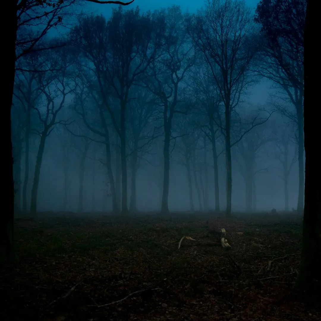 Predators, Prey, and the Echo of the Food Chain (Image Credits: Unsplash)
