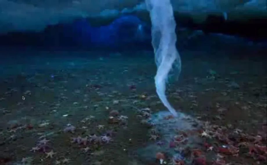 Brinicles: Icy Fingers of Death Under the Sea (Image Credits: Flickr)