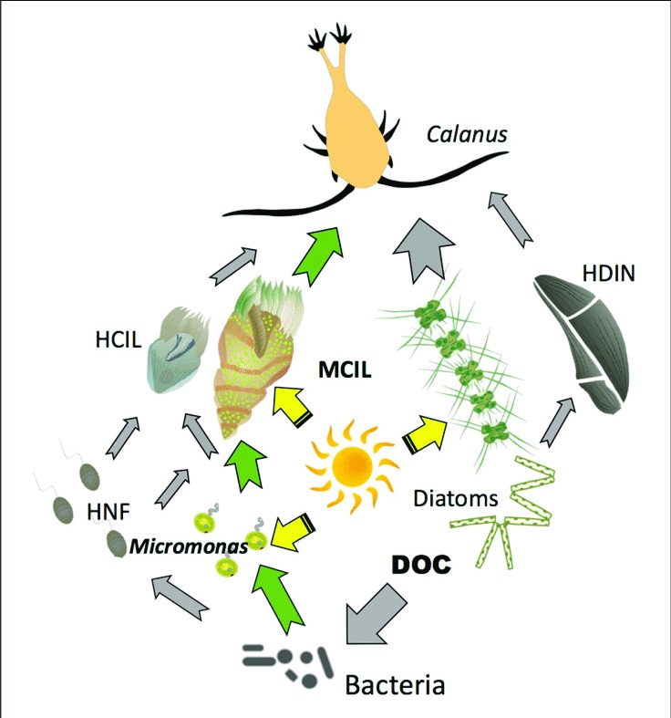 Why It Matters (Image Credits: Wikimedia)