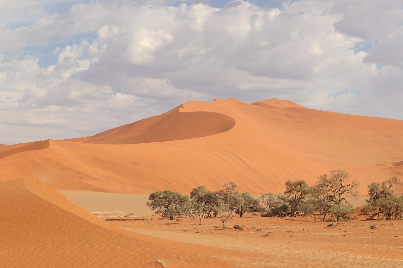 The Mystery of Multiple Notes from Single Dunes (Image Credits: Pixabay)