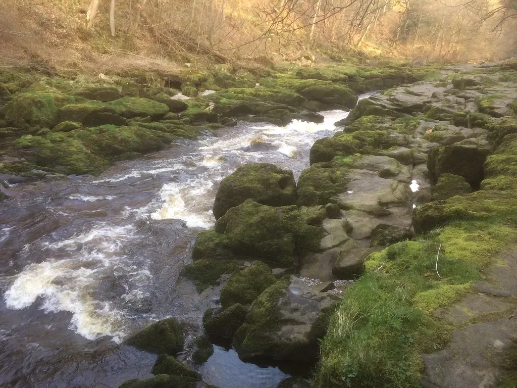 When Rivers Turn Sideways (Image Credits: Flickr)