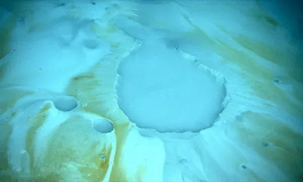 #5 - The Underwater Lakes That Kill Anything That Touches Their Edge (By Lophelia II 2010 Expedition, NOAA-OER/BOEMRENational Oceanic and Atmospheric Administration - Ocean Exploration and Research / Bureau of Ocean Energy Management, Regulation and Enforcement, Public domain)