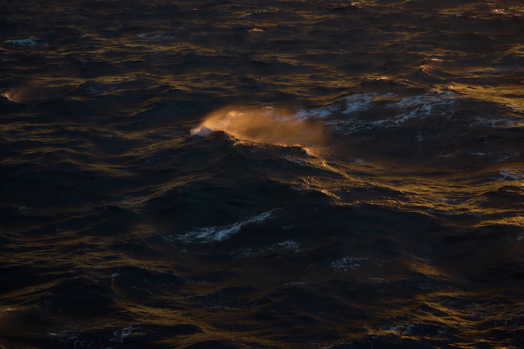 Inside the Seafloor: How Deep-Ocean Eruptions Unfold (Image Credits: Unsplash)