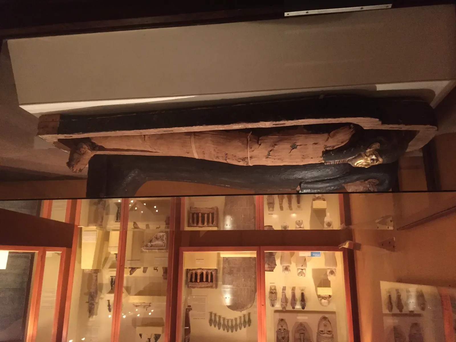 His Mummy Traveled to France for Scientific Study (Image Credits: Wikimedia)