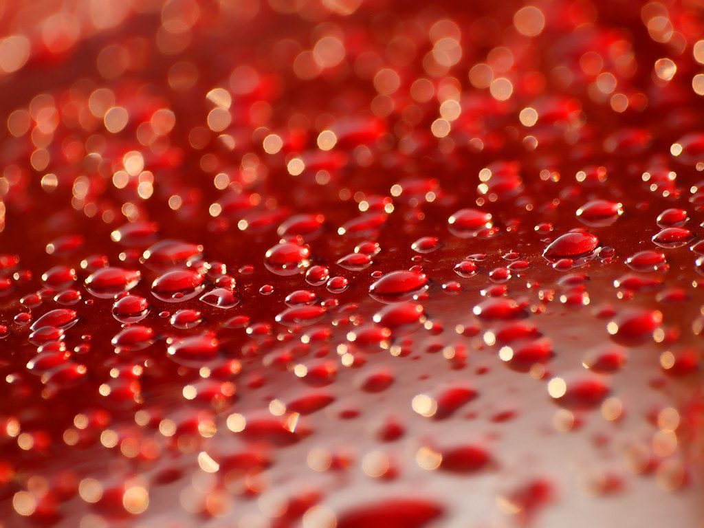 Blood Rain: When the Sky Bleeds Red (Image Credits: Flickr)