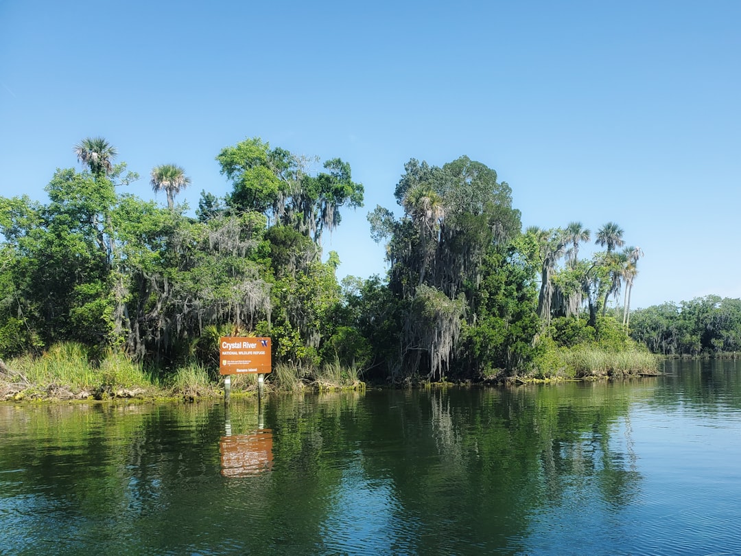 Florida's Subtropical Hammocks - Everglades and State Parks (Image Credits: Unsplash)