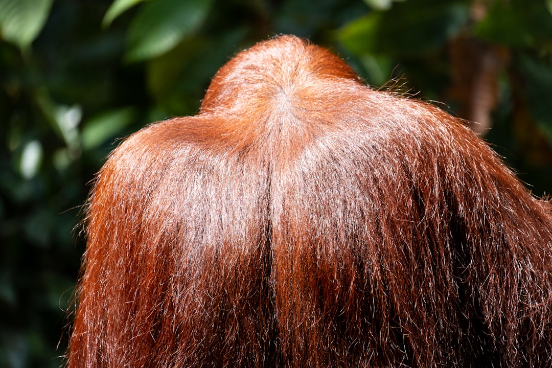 The Genetic Blueprint: How DNA Orchestrated Hair Loss (Image Credits: Unsplash)