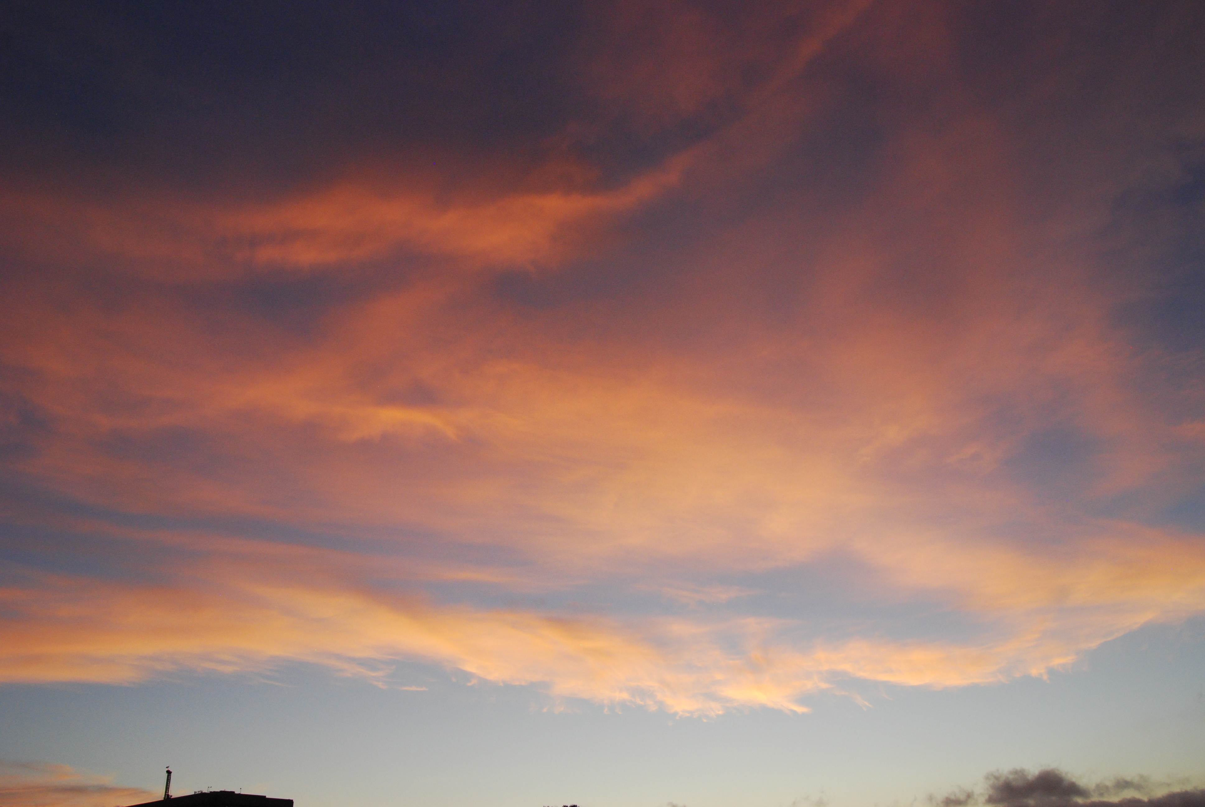 Call to Action (Image Credits: Wikimedia)