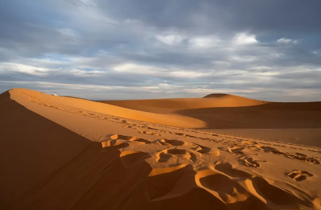 Global Perspectives: A Desert That Talks to the World (Image Credits: Unsplash)