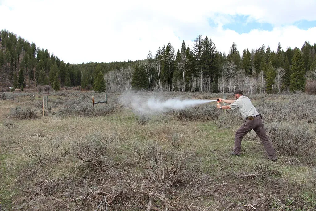 Bear Spray: How to Use It Before You Actually Need It (Image Credits: Flickr)