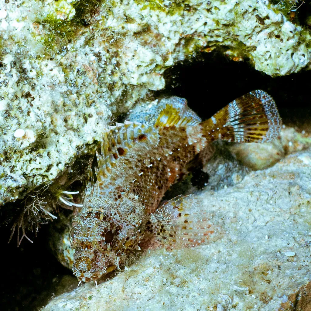 What These Discoveries Mean for Science and Beyond (Image Credits: Flickr)