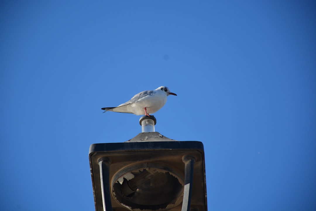 The Discovery That Changed Everything (Image Credits: Unsplash)