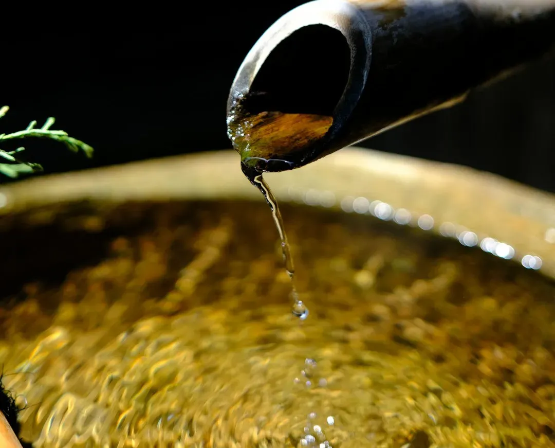 7. Anointing with Oils and Sacred Ointments: Early Chemistry and Skincare (Image Credits: Unsplash)