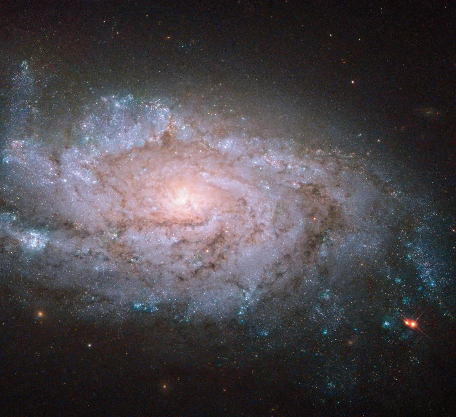 Wheeler’s Participatory Universe: The Universe As A Question‑And‑Answer Game (By NASA, ESA, and S. Smartt (Queen's University Belfast)Acknowledgement: Brian Campbell, CC BY 4.0)