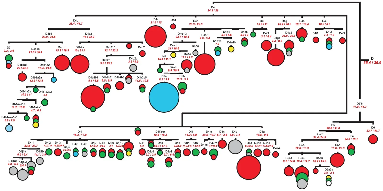 How Your Cells Tell Time (Image Credits: Wikimedia)