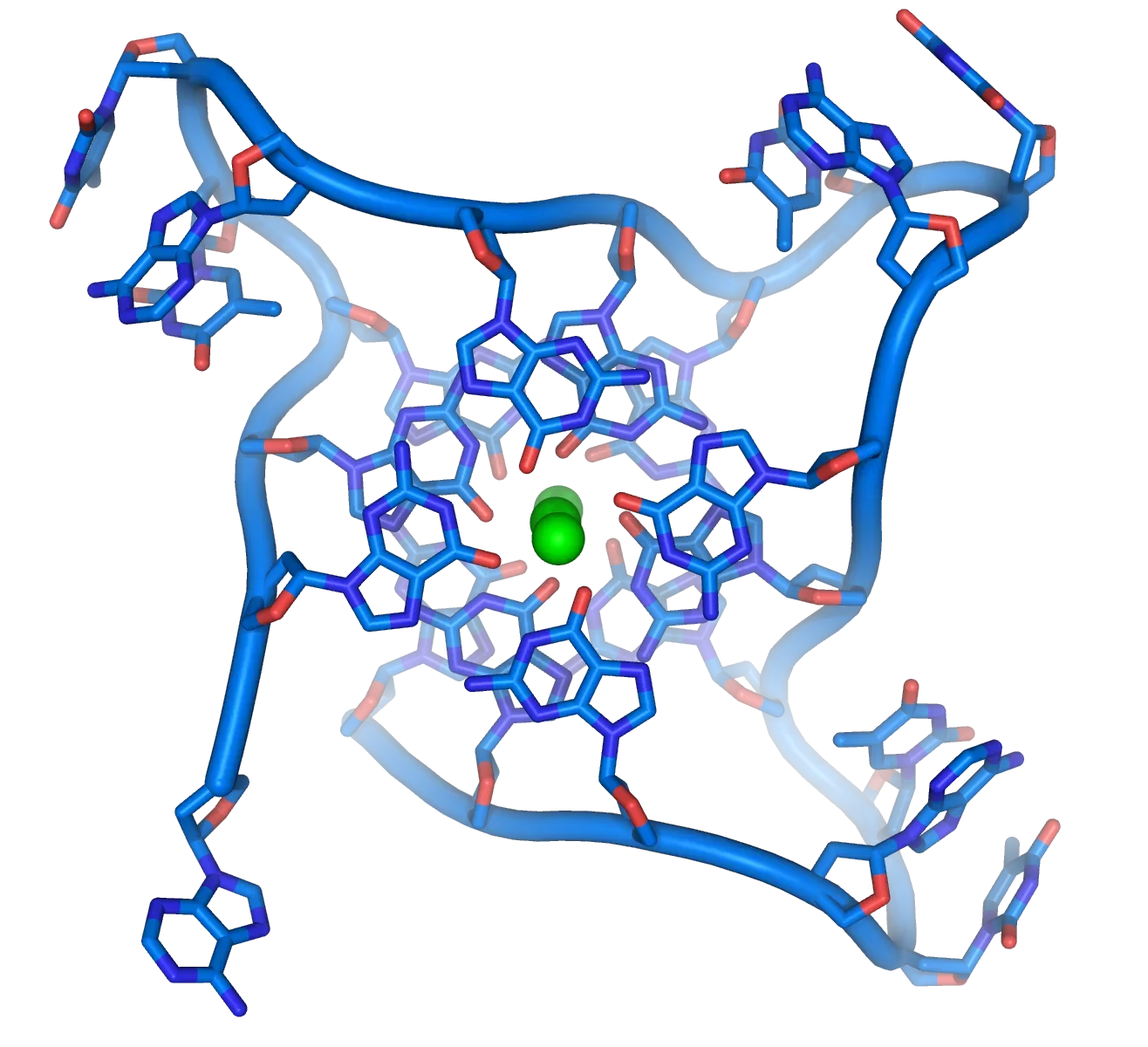 Telomeres, DNA Stability, and Slower Cellular Aging (self-made using the open source vizualization program PyMol, CC BY-SA 3.0)