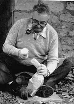 The Hidden Clues Beneath a Texas Highway (Image Credits: Wikimedia)