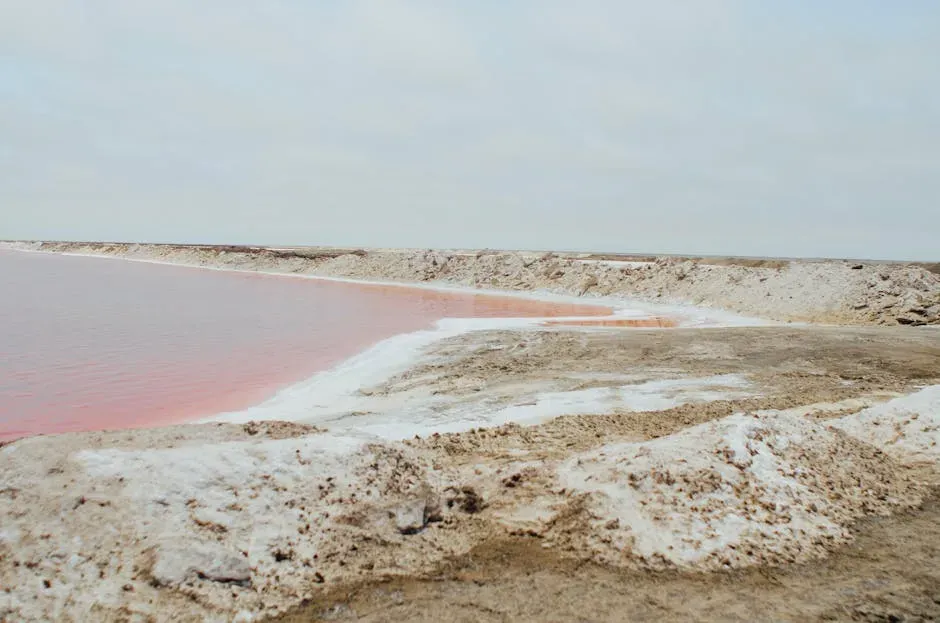 Salt-Loving Extremophiles in Hypersaline Lakes (Image Credits: Pexels)