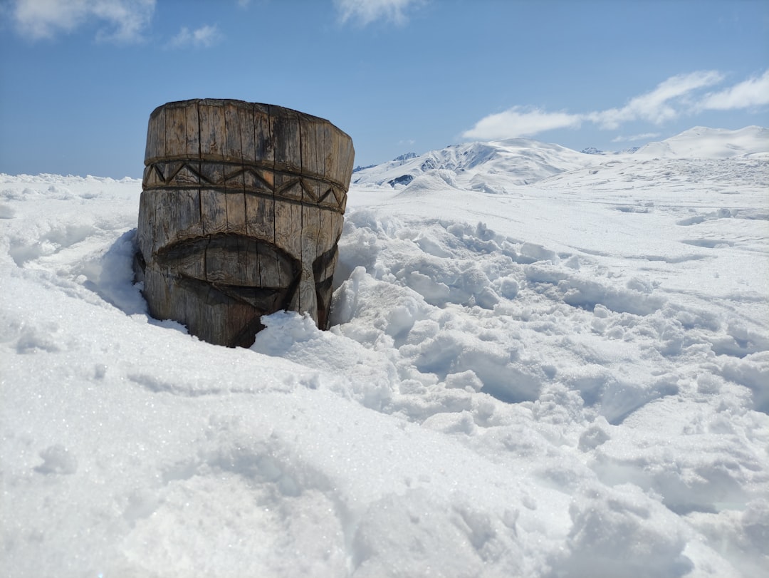 What These Discoveries Mean for You (Image Credits: Unsplash)