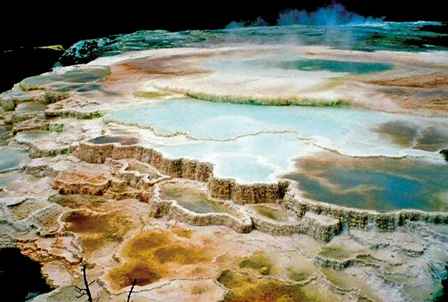 Life at the Edge: Extreme Microbial Worlds (Image Credits: Wikimedia)