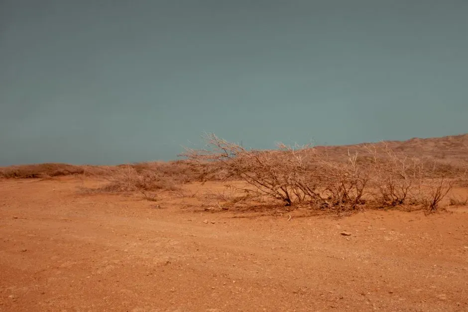 #6 - Faya Palaeolandscape's Desert Time Capsule (Image Credits: Pexels)