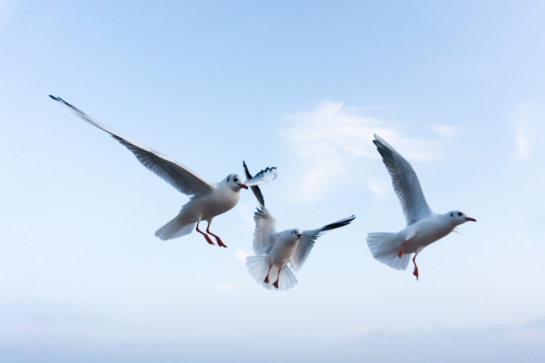 The Physics of Wind Displacement (Image Credits: Unsplash)