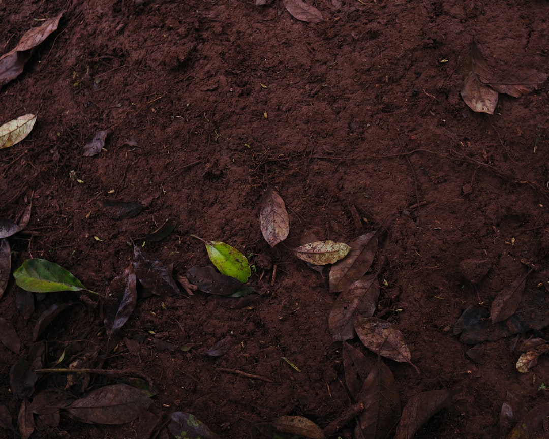 From Ancient Tools to Modern Science (Image Credits: Unsplash)