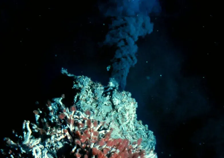 The Strange Chemistry Of The Deep: More Than Just Cold, Dark Water (Image Credits: Flickr)