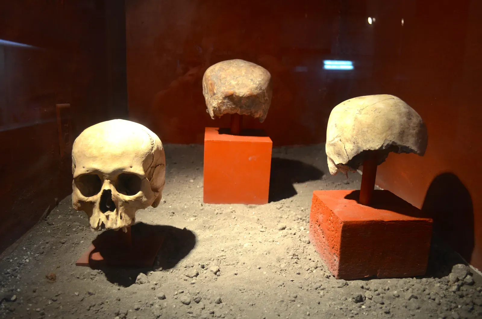 What We Still Don’t Know (And Why That Matters) (Image Credits: Wikimedia)