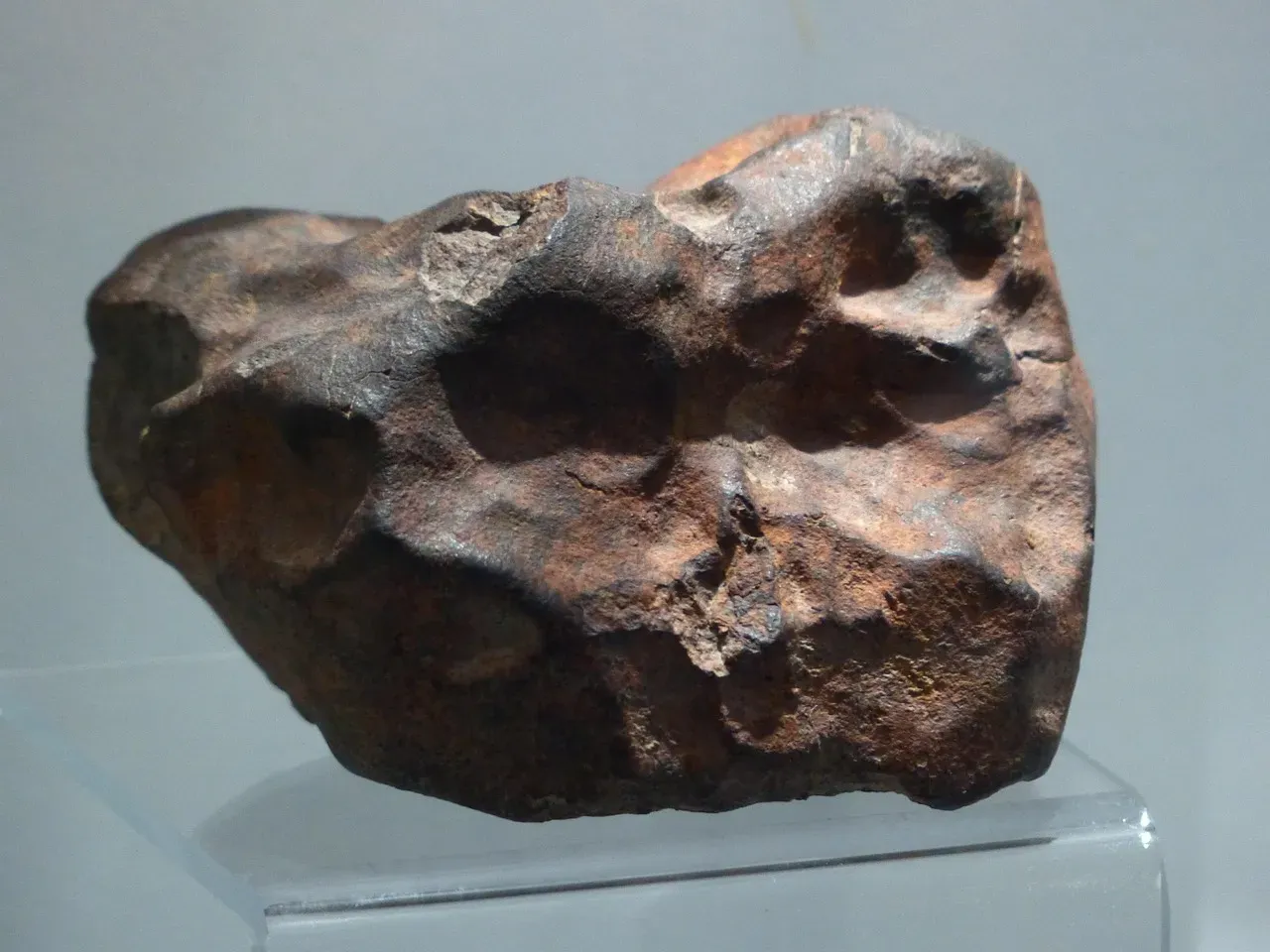 2. The “Unknown Origin” Meteorite Fragments In Museum Drawers (Image Credits: Pixabay)