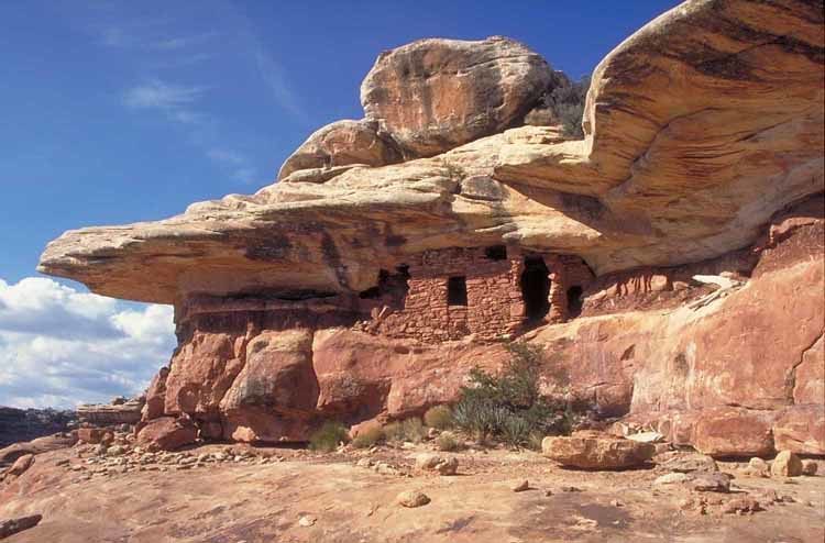 The Strategic Cliff Dwelling Migration (Image Credits: Flickr)