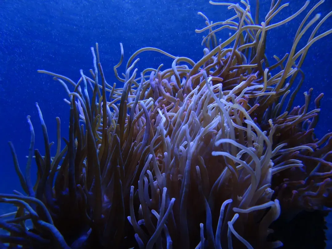 Medicines And Materials We Haven’t Discovered Yet (Image Credits: Unsplash)