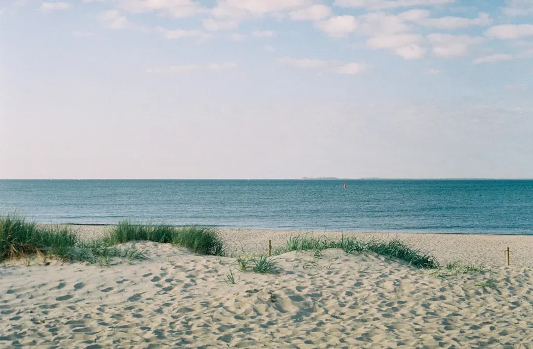 #7 Buried Beach Profiles Rising Back from the Trough (Image Credits: Unsplash)