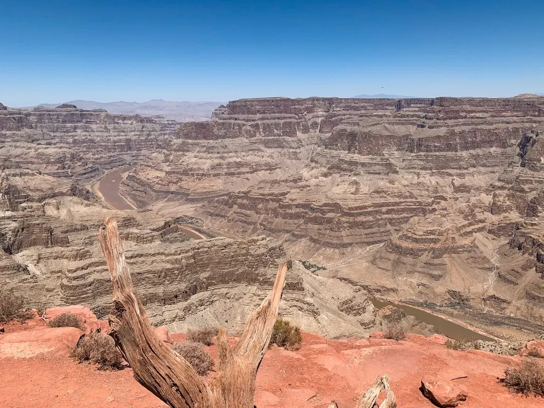 How Much Is Actually Left to Discover? (Image Credits: Unsplash)