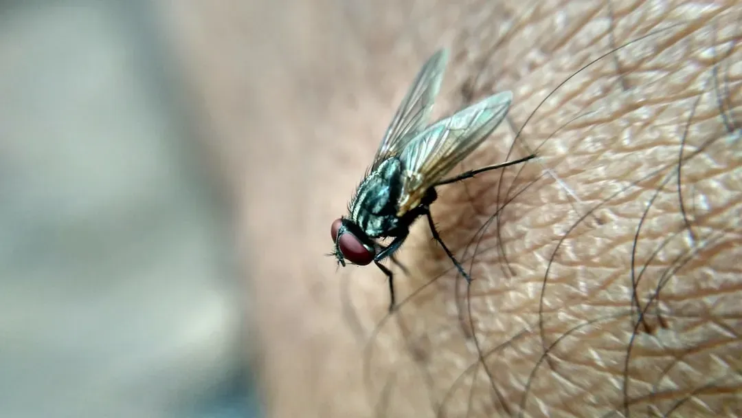 Lactic Acid From Sweat (Image Credits: Unsplash)