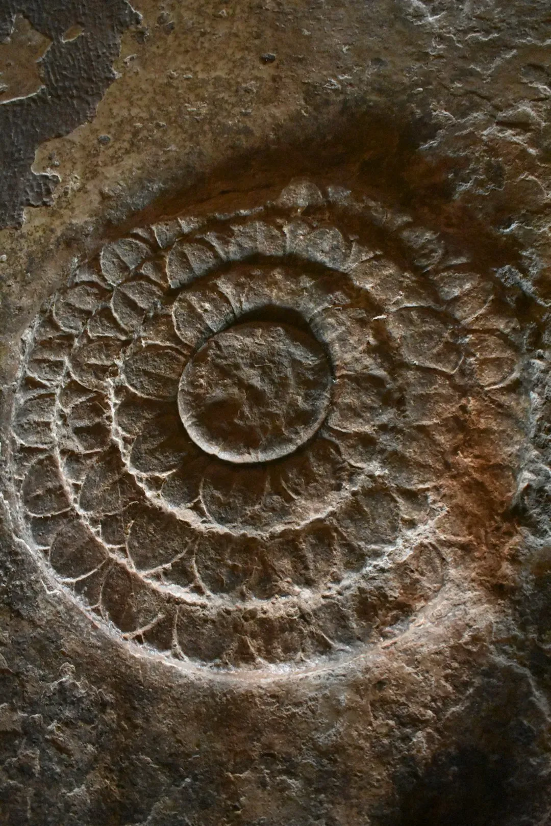 Stone Circles as Precision Sky Instruments (Image Credits: Unsplash)