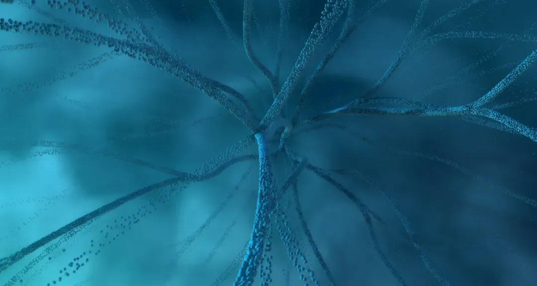 Neuronal Signaling: Electricity and Chemistry in Your Brain (Image Credits: Unsplash)