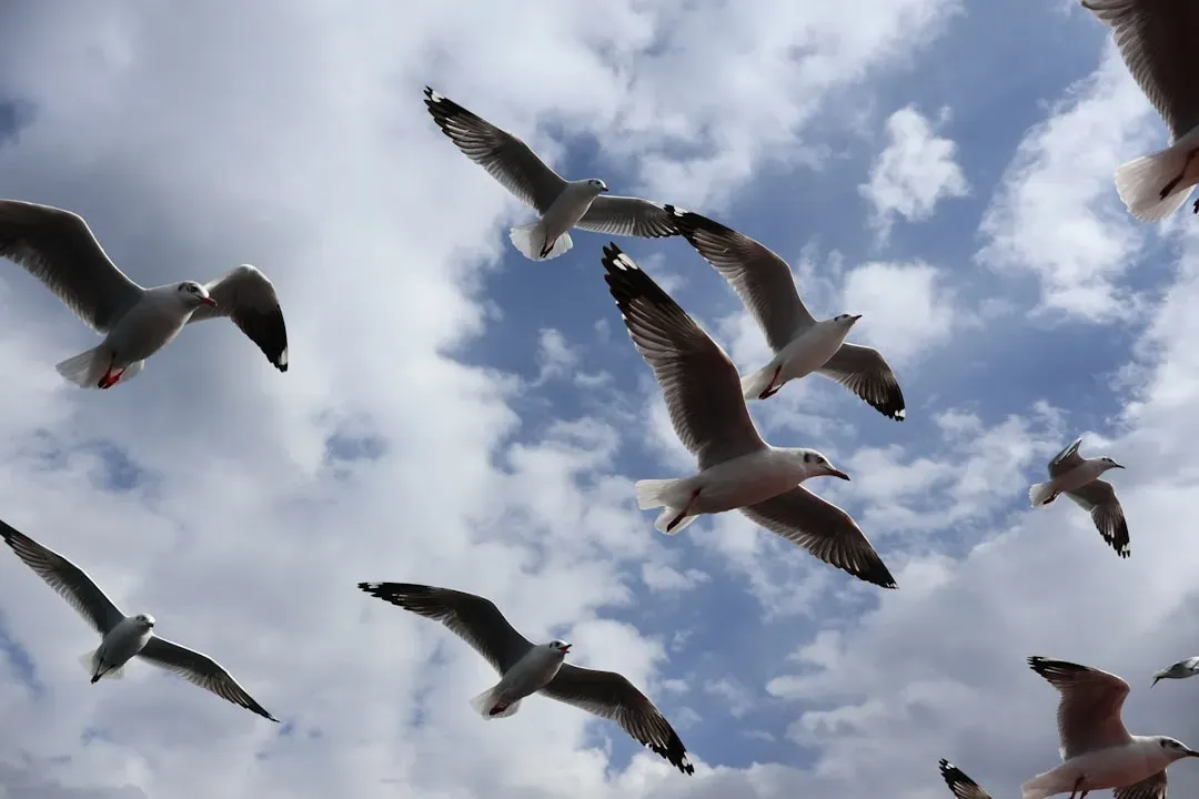 The Role of Daylight and Internal Clocks (Image Credits: Unsplash)