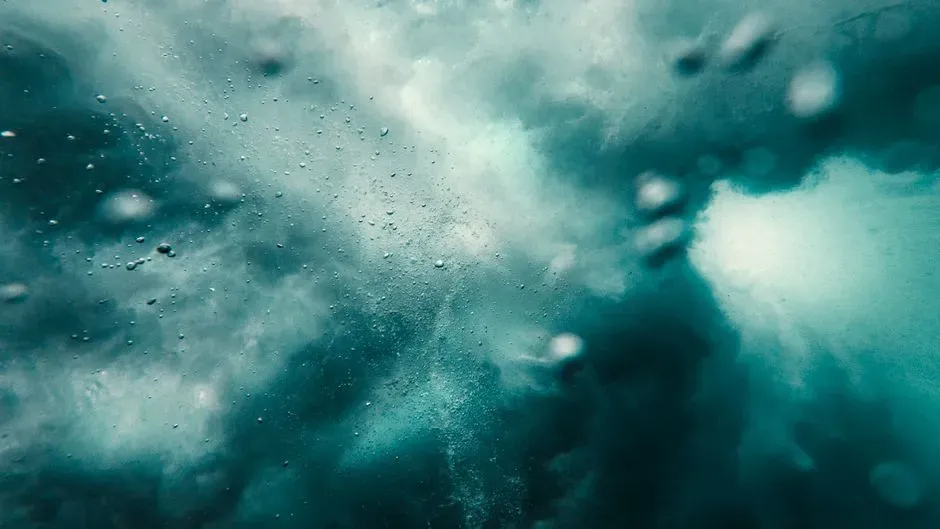 4. Freshwater Springs Bursting Out of the Abyssal Seafloor (Image Credits: Pexels)