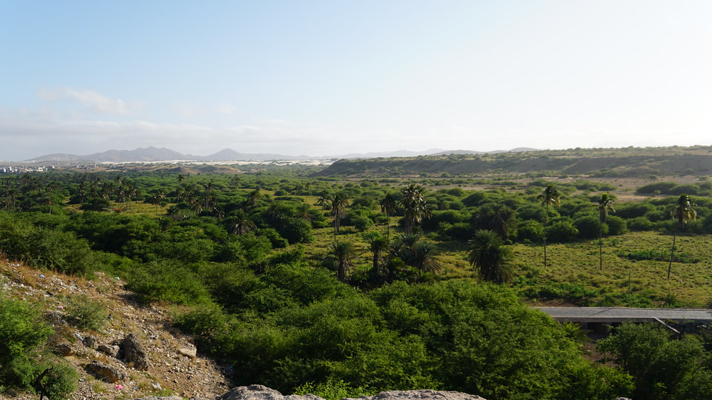 Dethroning Gilboa's Ancient Crown (Image Credits: Flickr)