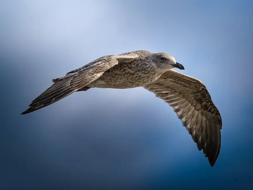 8. Birds’ Flight Feathers and Wings: Aerodynamics Perfected (Image Credits: Pexels)