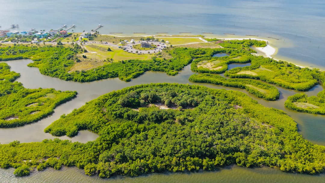 Long-term Evolutionary Consequences (Image Credits: Unsplash)