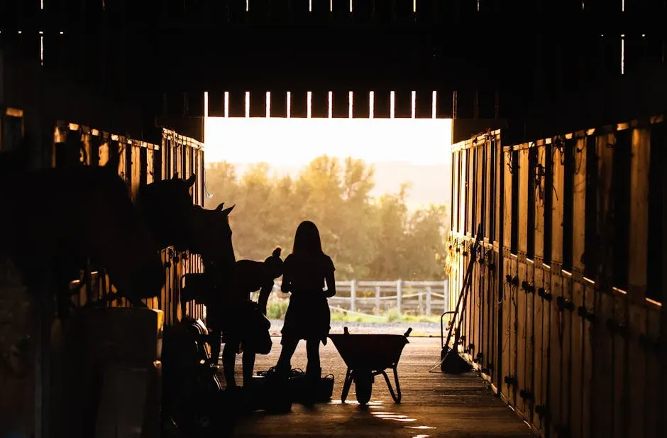 Mental Health and Meaning: Why the Barn Becomes a Sanctuary (Image Credits: Pexels)