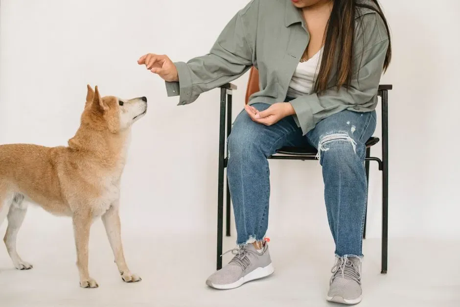 Step 2: One Minute of Simple Obedience Under Mild Pressure (Image Credits: Pexels)