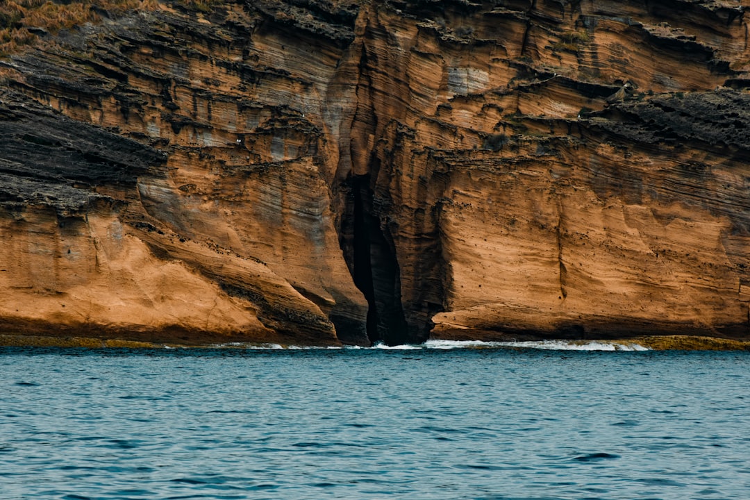 The Hidden Clues (Image Credits: Unsplash)