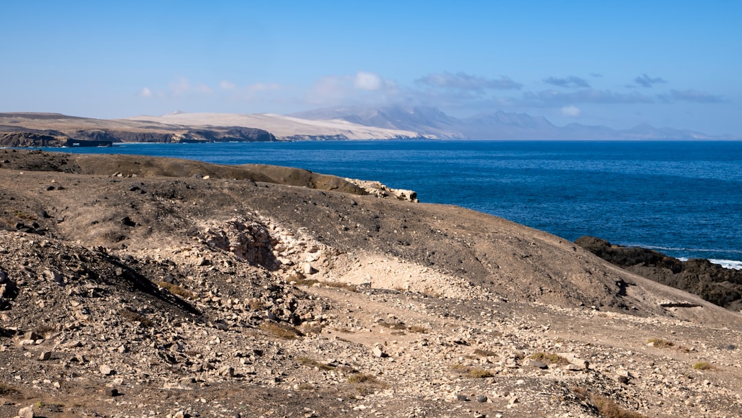 The Hidden Clues (Image Credits: Unsplash)