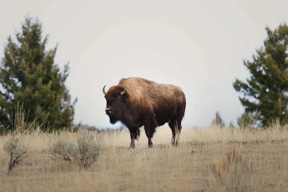 The Scale of the Crisis Nobody Wants to Talk About (Image Credits: Pexels)