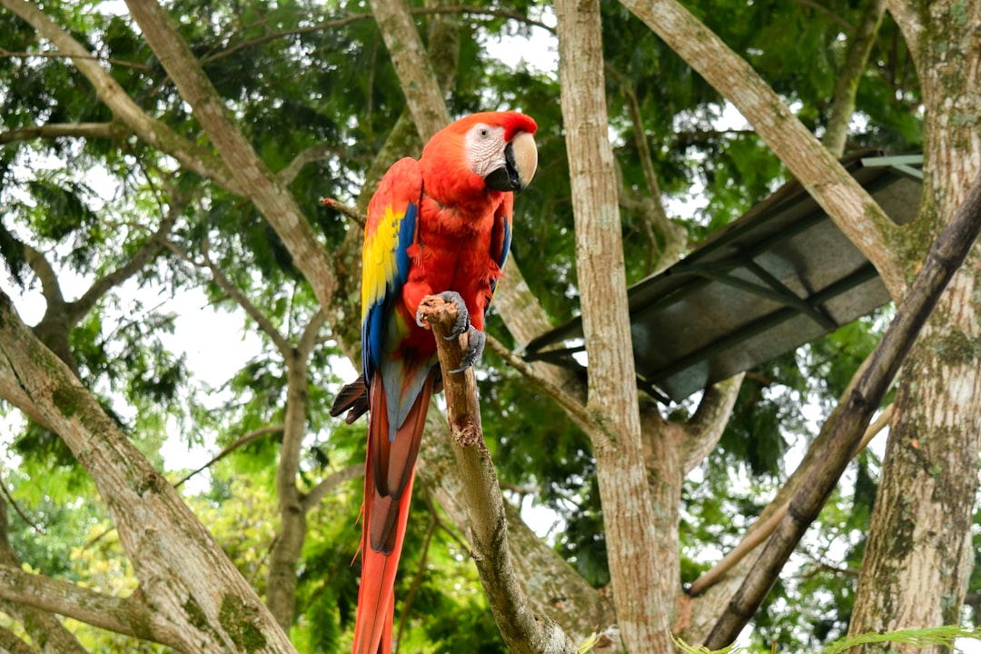 From Ancient Symbols to Modern Science (Image Credits: Unsplash)