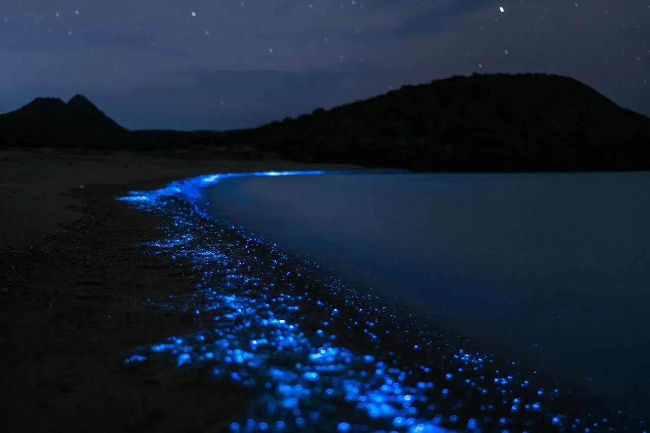 Most Marine Bioluminescence Glows Blue-Green (Image Credits: Pixabay)