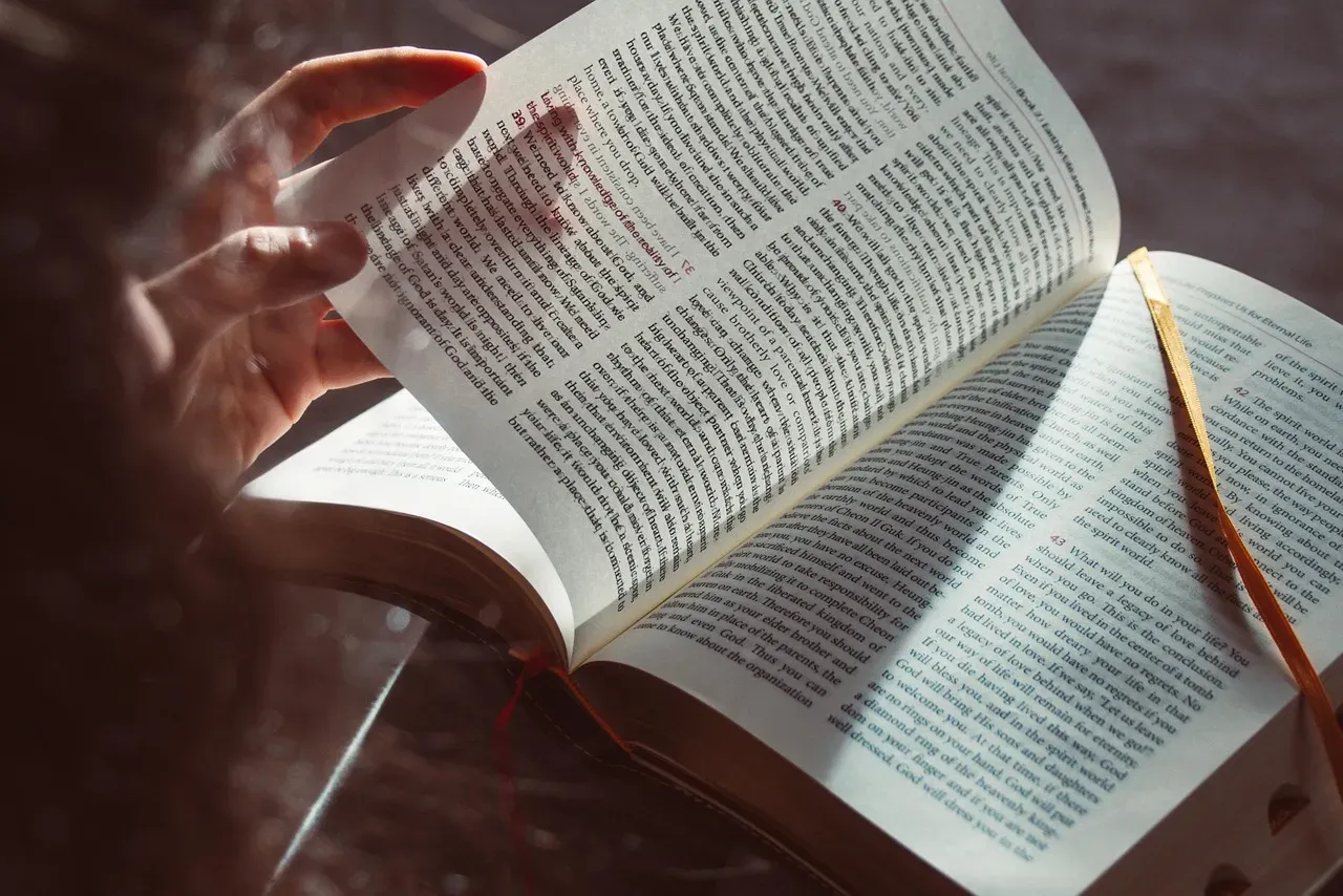 #2 - The Object Label That Collides With the Page Edge (Image Credits: Pixabay)